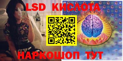 амф Новодвинск