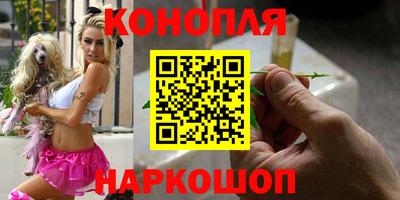 амф Новодвинск