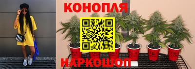 экстази Новозыбков