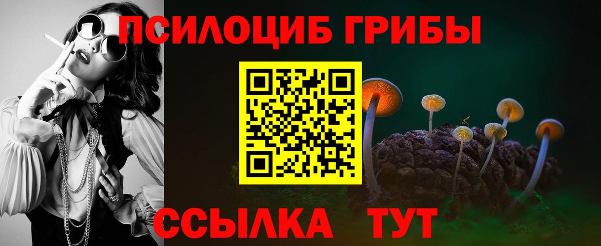 Галлюциногенные грибы прущие грибы  Вход с VPN  Полевской  Галлюциногенные грибы Psilocybe 